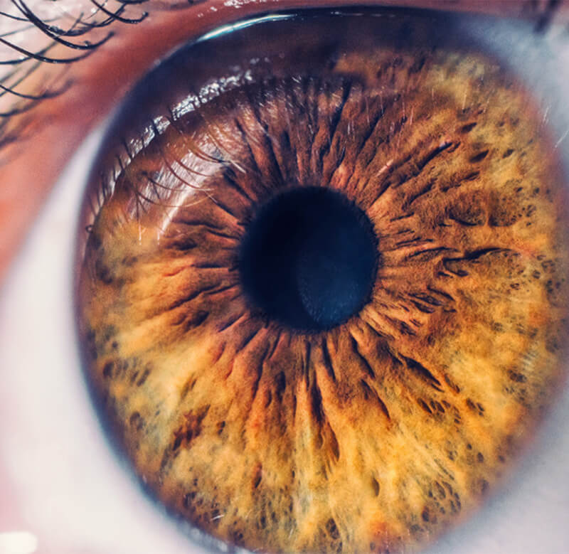 Angiopoietinas na Instabilidade Vascular